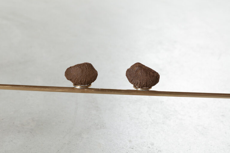 Lupo Borgonovo – Willow pillow – veduta della mostra presso la Galleria Monica De Cardena, Zuoz 2015