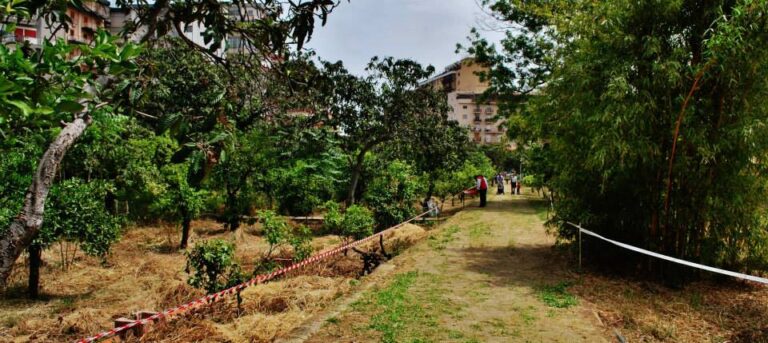 Villa Di Napoli Palermo ph Facebook comuni e borghi di Sicilia 5 Palermo, Villa Di Napoli: ennesimo scandalo della Regione Siciliana. Stuprato un gioiello architettonico di origini arabo-normanne. Decenni di furti e degrado