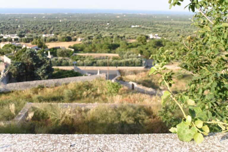 6 Apulia Puglia, al via l’Apulia Land Art Festival. Tra gli orti di Ostuni l’arte contemporanea incontra il paesaggio, con una rassegna di convegni, mostre, residenze