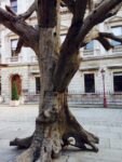 Ai Weiwei, Tree (particolare), 2009-10