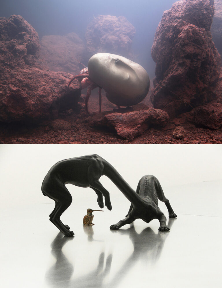 Fenotipi adattati – Pierre Huyghe; Charles Avery