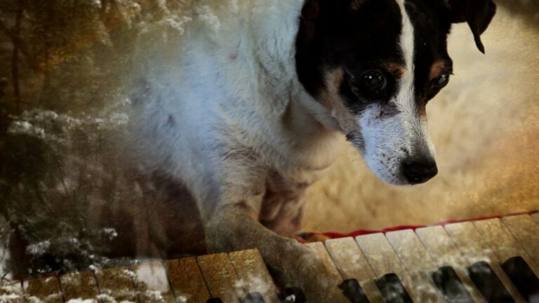 Laurie Anderson, Heart of a Dog