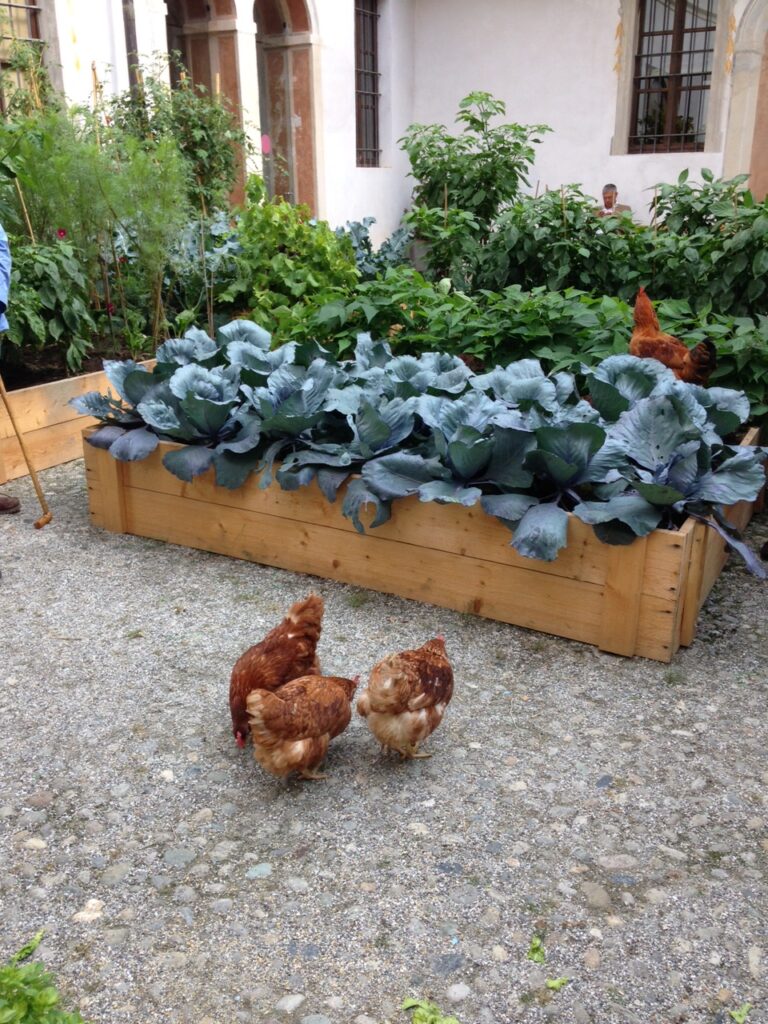 Orti veri nel cortile de Il Filatoio di Caraglio per la mostra Orti del Paradiso