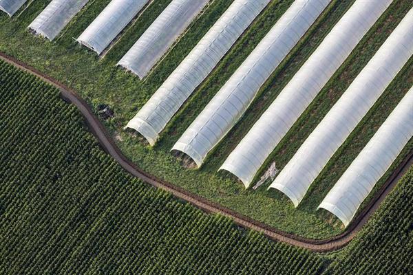 Gusto e bellezza alla Provincia Granda. Sette mostre nel cuneese