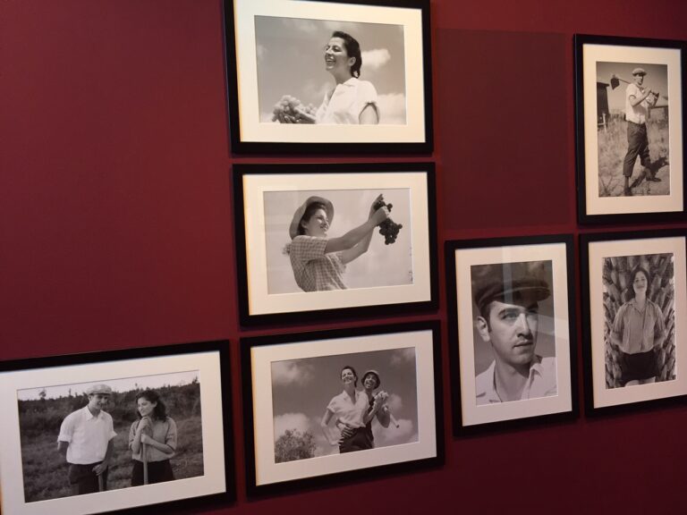 Sguardo di donnaCasa dei Tre Oci Venezia 11 Lo Sguardo (fotografico) della donna. Immagini dalla preview della grande mostra alla Casa dei Tre Oci, a Venezia, curata da Francesca Alfano Miglietti con allestimenti di Antonio Marras