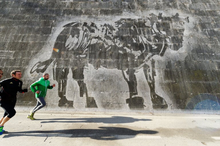 Toro, Power Wash Tests per Triumphs and Laments, (2014), Ponte Margherita, Roma (foto Marcello Melis)