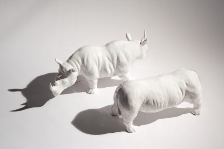 Antonio Riello, Rhino, 2015