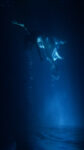 Bill Viola, Isolde’s Ascension (The Shape of Light in Space After Death), 2005 - performer Sarah Steben - Fondazione CRT, Castello di Rivoli-Torino © Kira Perov, Courtesy Bill Viola Studio