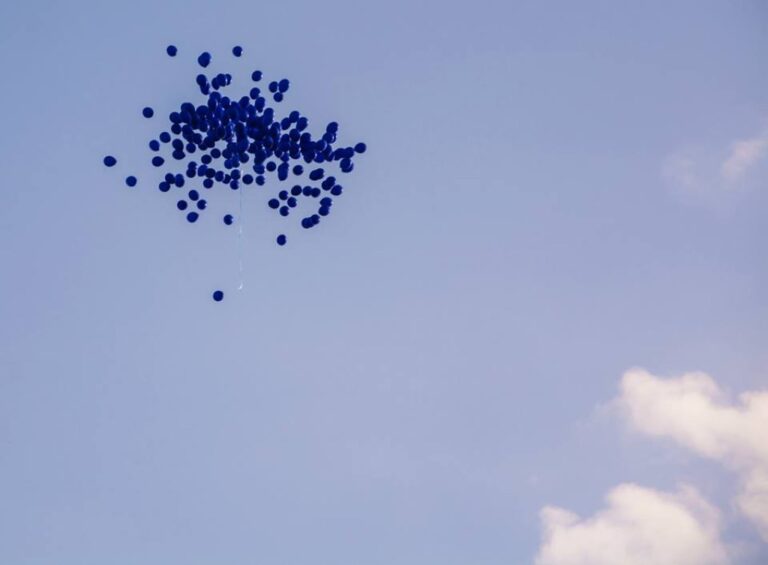 Da Yves Klein. Nel blu (han) dipinto di blu… - vernissage della mostra presso il MACA, Acri 2015