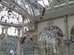 Danh Vō – Destierra a los sin rostros - Premia tu gracia - veduta della mostra presso il Palacio de Cristal, Madrid 2015