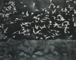 Gerhard Richter, Vögel, 1964