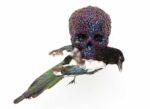 Jan Fabre, Skull with magpie, 2001