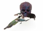 Jan Fabre, Skull with magpie, 2001