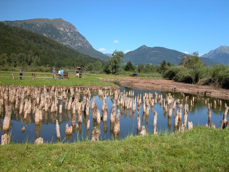 Palafitte, Fiavè - photo Bellintani