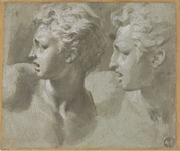 Parmigianino, Due teste di profilo, Firenze, Gabinetto Disegni e Stampe degli Uffizi