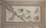 Particolare del Il Mosaico di Lod 12 Il mosaico più bello del mondo? Ecco le immagini de Il Serraglio delle Meraviglie, capolavoro romano scoperto in Israele e ora esposto alla Fondazione Cini di Venezia