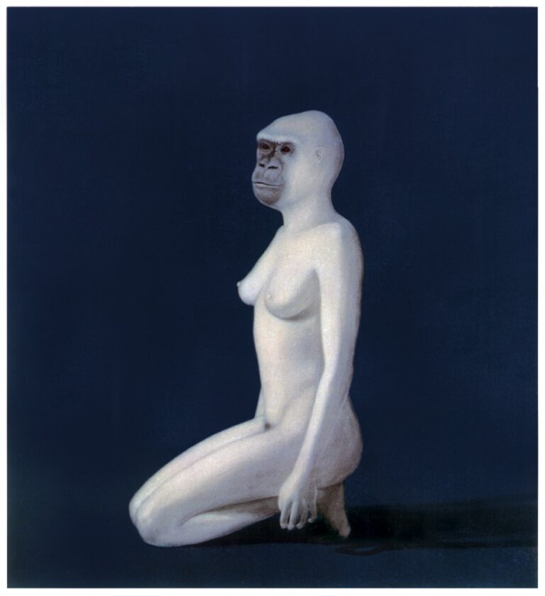 Salvatore Astore, Donna scimmia, 1994
