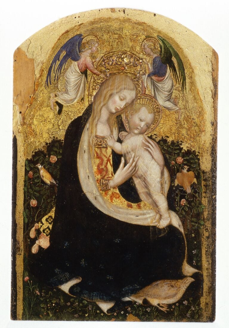 Antonio Pisano detto Pisanello Madonna col bambino detta Madonna della quaglia tempera su tavola cm 54x32 Ladri al Museo di Castelvecchio a Verona, rubati ieri notte 17 preziosi dipinti. Ecco l'elenco completo e tutte le immagini: da Mantegna a Pisanello, a Tintoretto