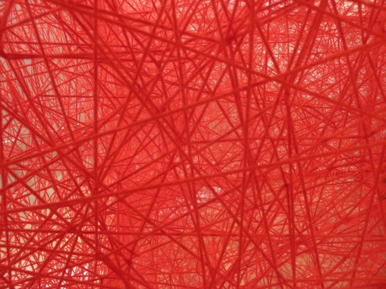 Chiharu Shiota – Follow the Line - veduta della mostra presso l'Istituto Giapponese di Cultura, Roma 2015