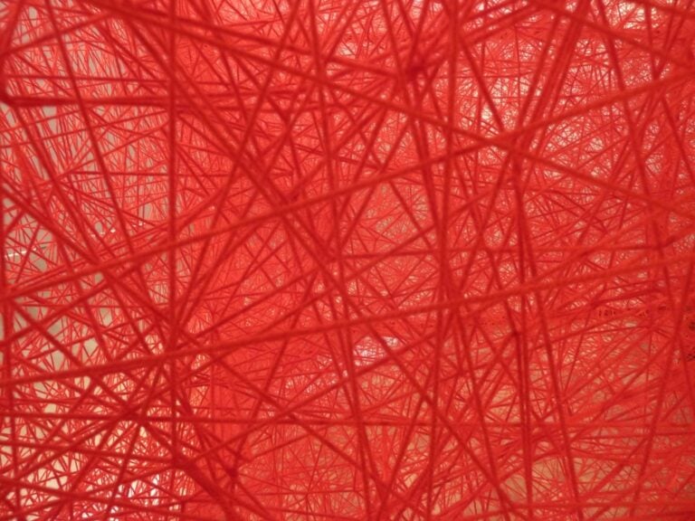 Chiharu Shiota – Follow the Line - veduta della mostra presso l'Istituto Giapponese di Cultura, Roma 2015