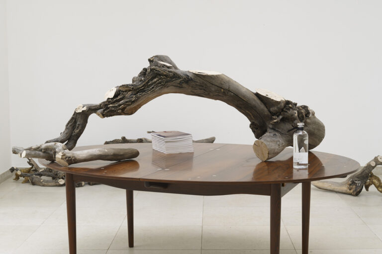 Danh Vo, Mothertongue - Biennale di Venezia 2015 - Danimarca