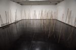 Emanuela Ascari, Ciò che è vivo. Project – Museo Macro, Roma 2015 – photo Matteo Nardone