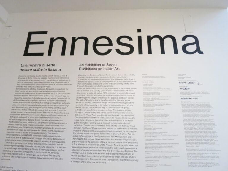 Ennesima, veduta della mostra presso La Triennale di Milano, 2015