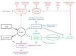 Fernando Garcia Dory, Inland - diagramma