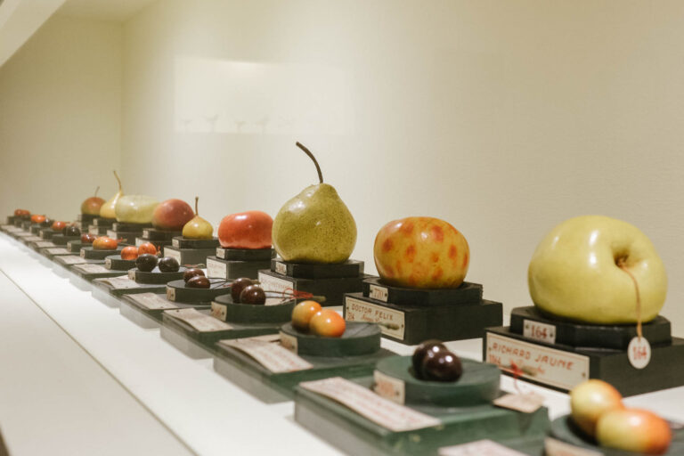 Ed Ruscha – Mixmaster - veduta della mostra presso la Pinacoteca Agnelli, Torino 2015 - photo © Andrea Guermani