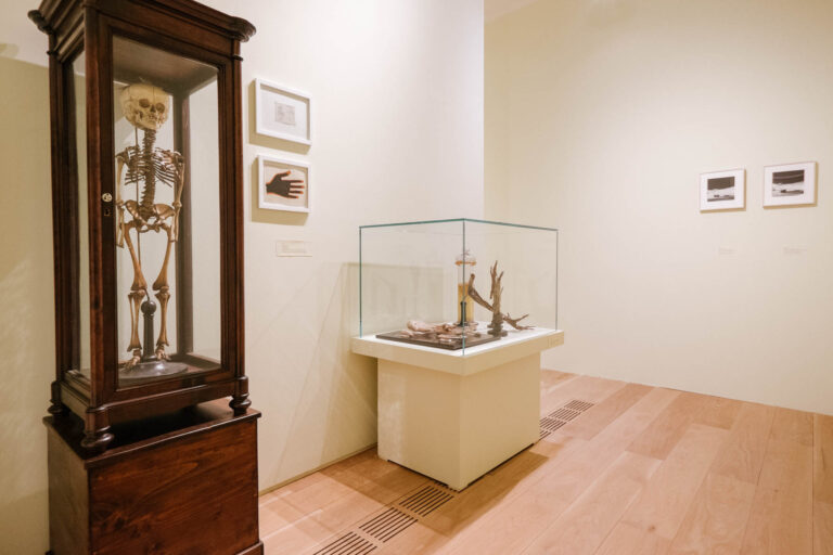 Ed Ruscha – Mixmaster - veduta della mostra presso la Pinacoteca Agnelli, Torino 2015 - photo © Andrea Guermani