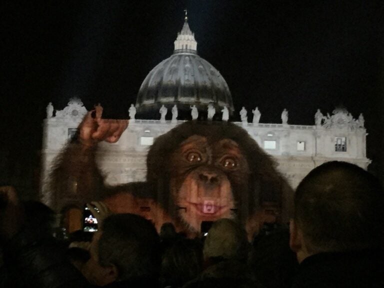 Fiat Lux illuminare la nostra casa comune Basilica di San Pietro 10 L'arte apre il Giubileo a San Pietro. Da Yann Arthus Bertrand a Steve McCurry, spettacolari proiezioni luminose sul cupolone: ecco qualche anteprima