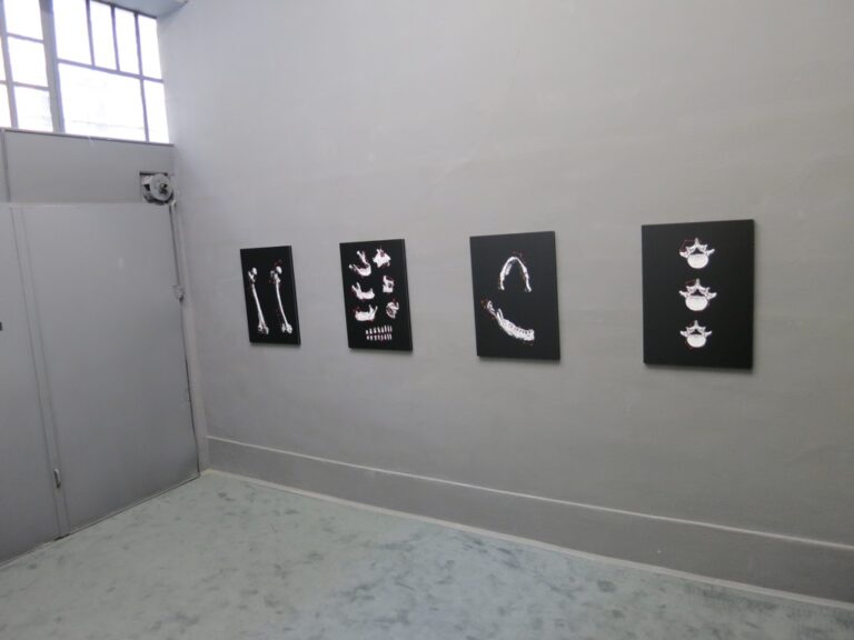 Gianluca Rossi – Constellatio Humanae - veduta della mostra presso Harlem Room, Milano 2015
