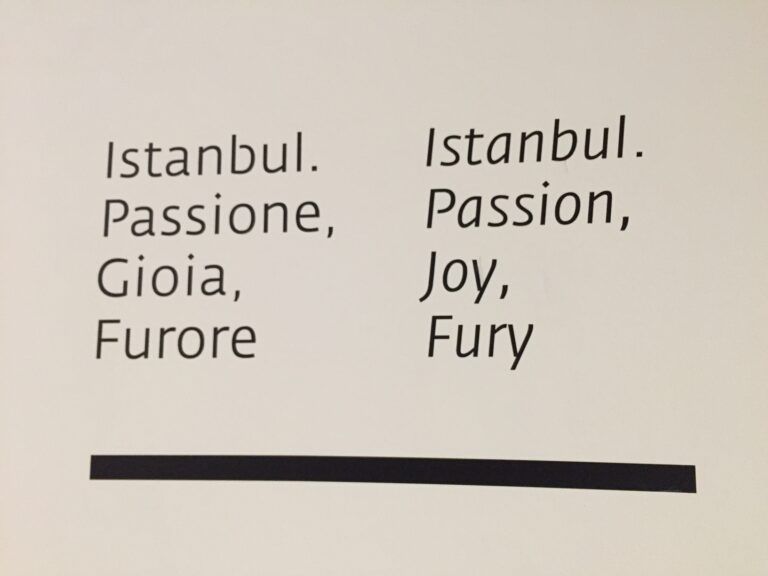 Istanbul. Passione gioia furore Maxxi Roma 15 C'è una mostra al Maxxi. Ottime sensazioni dal grande progetto espositivo dedicato a Istanbul, fra creatività e sociologia: ecco immagini e video da Roma