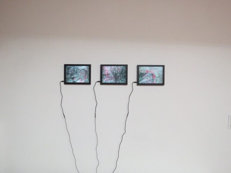 Marta Roberti – Il fondo sale alla superficie (senza cessare di essere fondo) – veduta della mostra presso la Galleria Doppelgaenger, Bari 2015