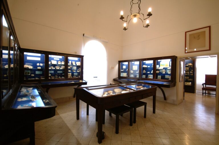 Museo del Centro Caprense, Sala Geo-paleontologica