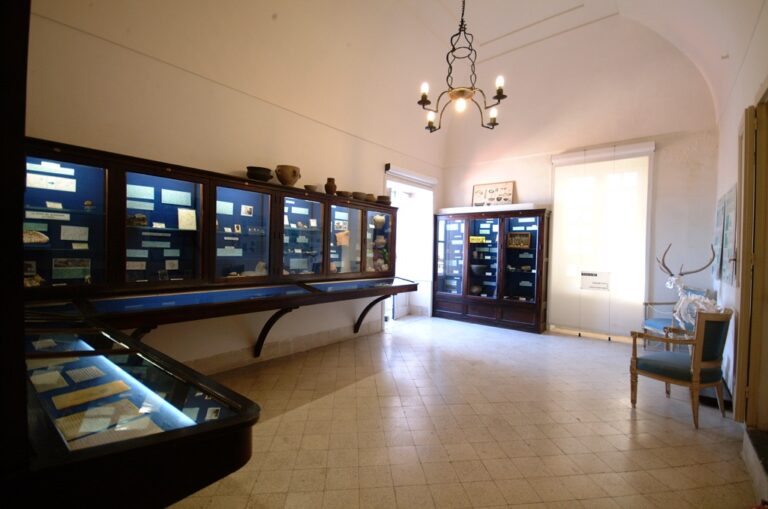Museo del Centro Caprense, Sala di Preistoria