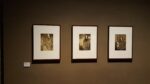 Romaine Brooks Dipinti disegni fotografie veduta della mostra presso Palazzo Fortuny Venezia 2015 7 Immagini da Palazzo Fortuny a Venezia, con un nuovo poker di mostre al femminile. Quattro donne illustri, accomunate da un’energia creativa senza limiti