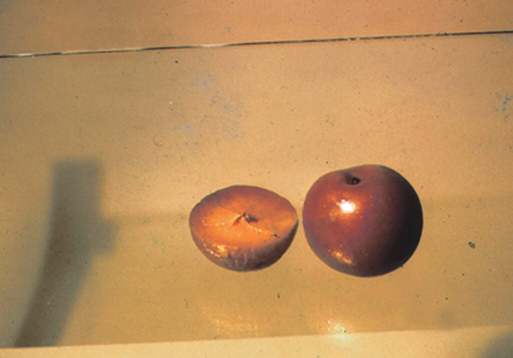 Nuove generazioni d’arte. Al Macro di Roma