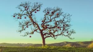 C’era un volta un postino sognatore: i cinque (irresistibili) film della campagna Prada