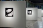 Antonio Biasiucci – Molti - Centro Arti Visive Pescheria, Pesaro 2016 - photo Michele Sereni