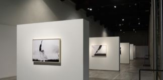 Antonio Biasiucci – Molti - Centro Arti Visive Pescheria, Pesaro 2016 - photo Michele Sereni