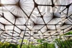 MPavilion, Melbourne - copyright Timothy Burgess