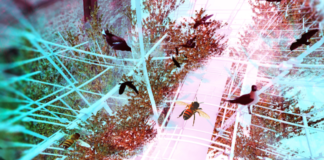 Milano Animal City - Ecostructure, 2015 (Bittenbinder, Di Carlo, Giacopelli, Govi, Lamarca)