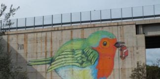 Pin, Hungry Birds