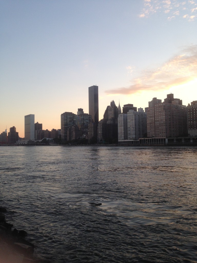 Trump River Tower e il Palazzo delle Nazioni Unite, New York - courtesy Architensions