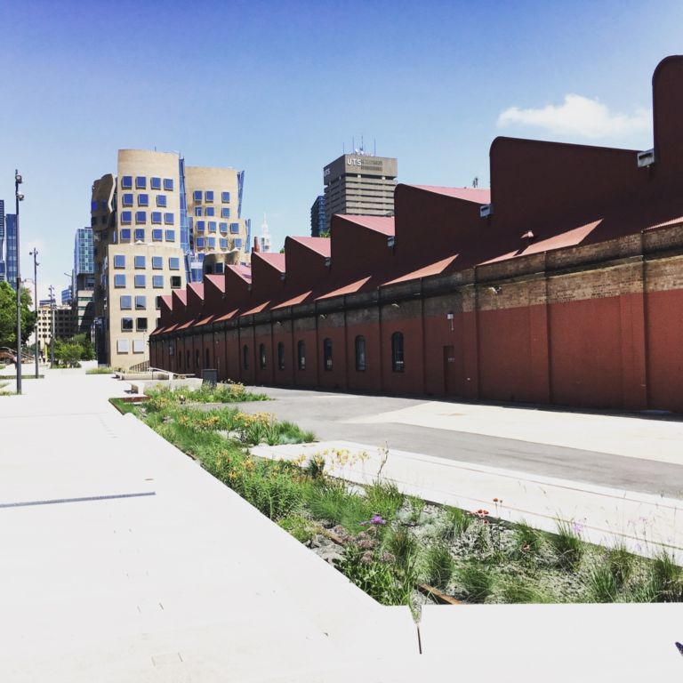 UTS business school, un progetto di Frank Gehry, Sydney