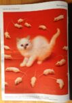Zeit Magazine CattelanFerrari Katz und Maus pag. 16 Nr. 1 30 Dezember 2015 “Katz und Maus”, il gatto e il topo. Cattelan e Ferrari, l’artista e il fotografo: grande collaborazione per tutto il 2016 sull’inserto del settimanale tedesco Die Zeit