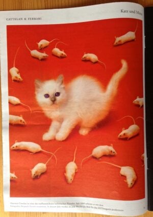 “Katz und Maus”, il gatto e il topo. Cattelan e Ferrari, l’artista e il fotografo: grande collaborazione per tutto il 2016 sull’inserto del settimanale tedesco Die Zeit