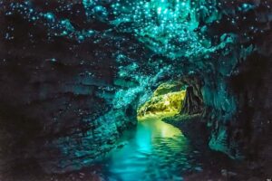 Bioluminescenze: luminarie naturali nelle grotte neozelandesi vincono il premio Time Lapse dell’anno