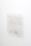Maria Elisabetta Novello, Archivio. Polvere 02, 2015